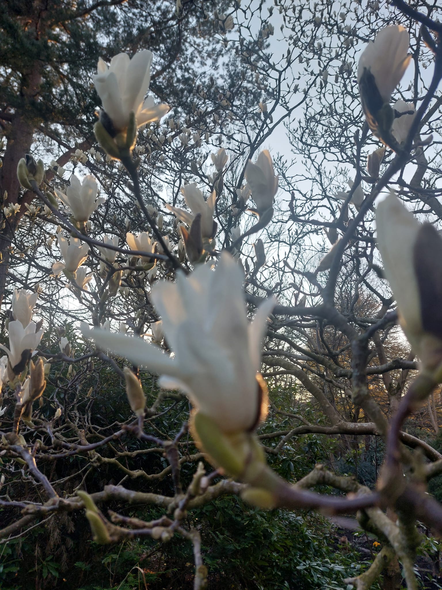Capturing Southport: A Photographic Journey