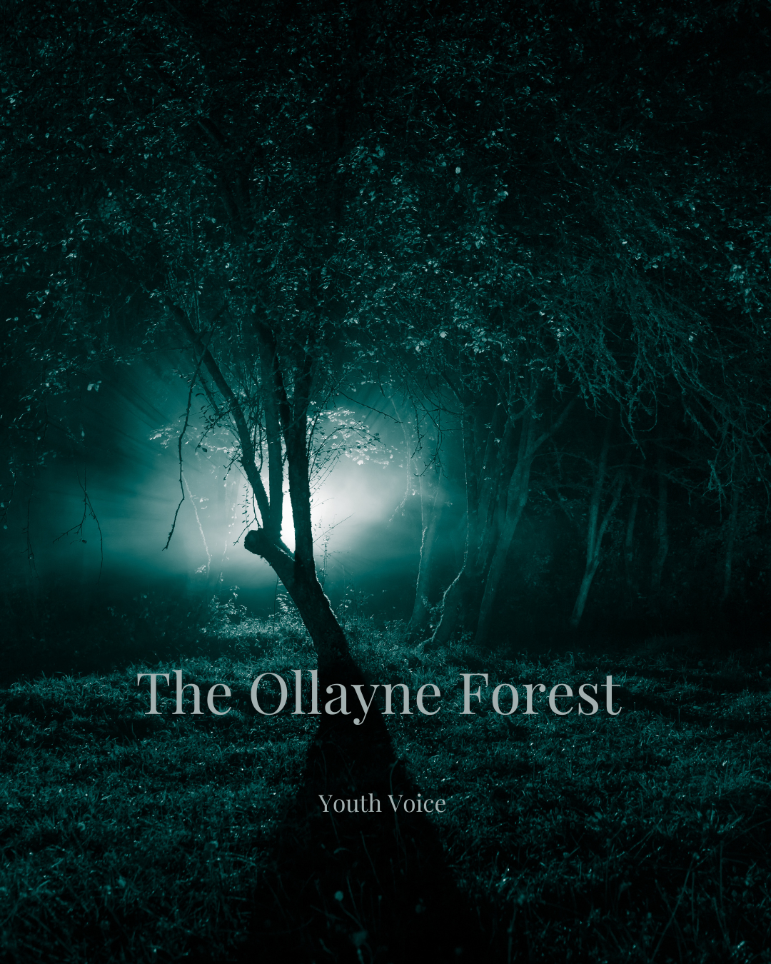 The Importance of Young Writers in Southport